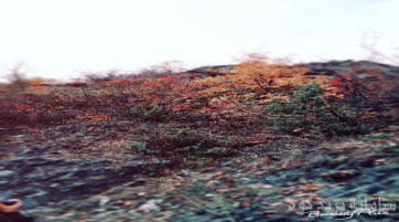 توریک روزه آبشارگل آخر _کناره رودارس روستای اشتبین