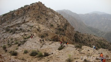چکاد پازنان