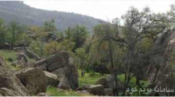 تنگ نرگسی