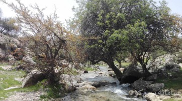طبیعت فیروزآباد