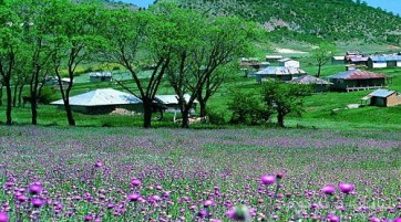 سیزده بدر باسبزه های شمالی