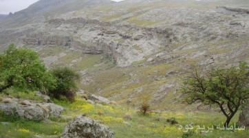 دوچرخه سواری