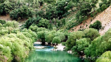 تنگ خرم ناز