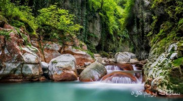 تنگه دار
