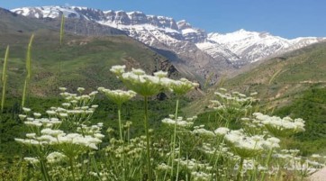 صعود قله قلات بزی _ دنا