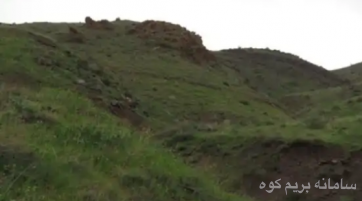توریکروزه دره دیزجلفا