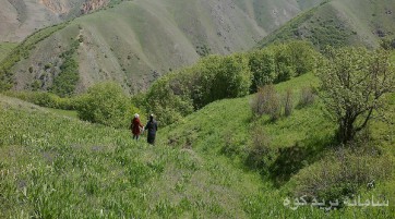 توريك روزه لاله بجان - ئرزقان