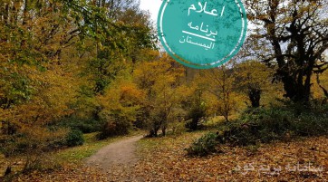 جنگل الیمستان، قله امامزاده قاسم