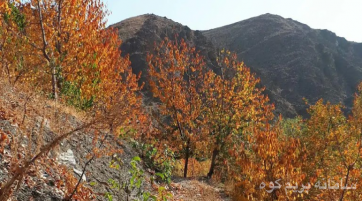 پیمایش پاییزی دره زیبای کشوه