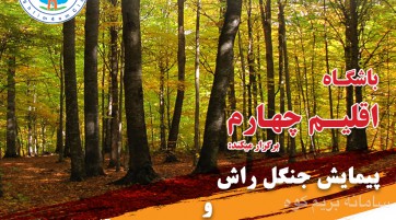 پیمایش جنگل راش و صعود به قله خرونرو